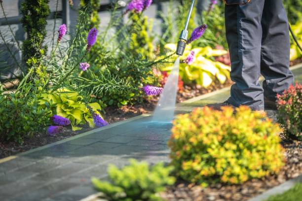 Best Driveway Pressure Washing  in Hidden Hills, CA